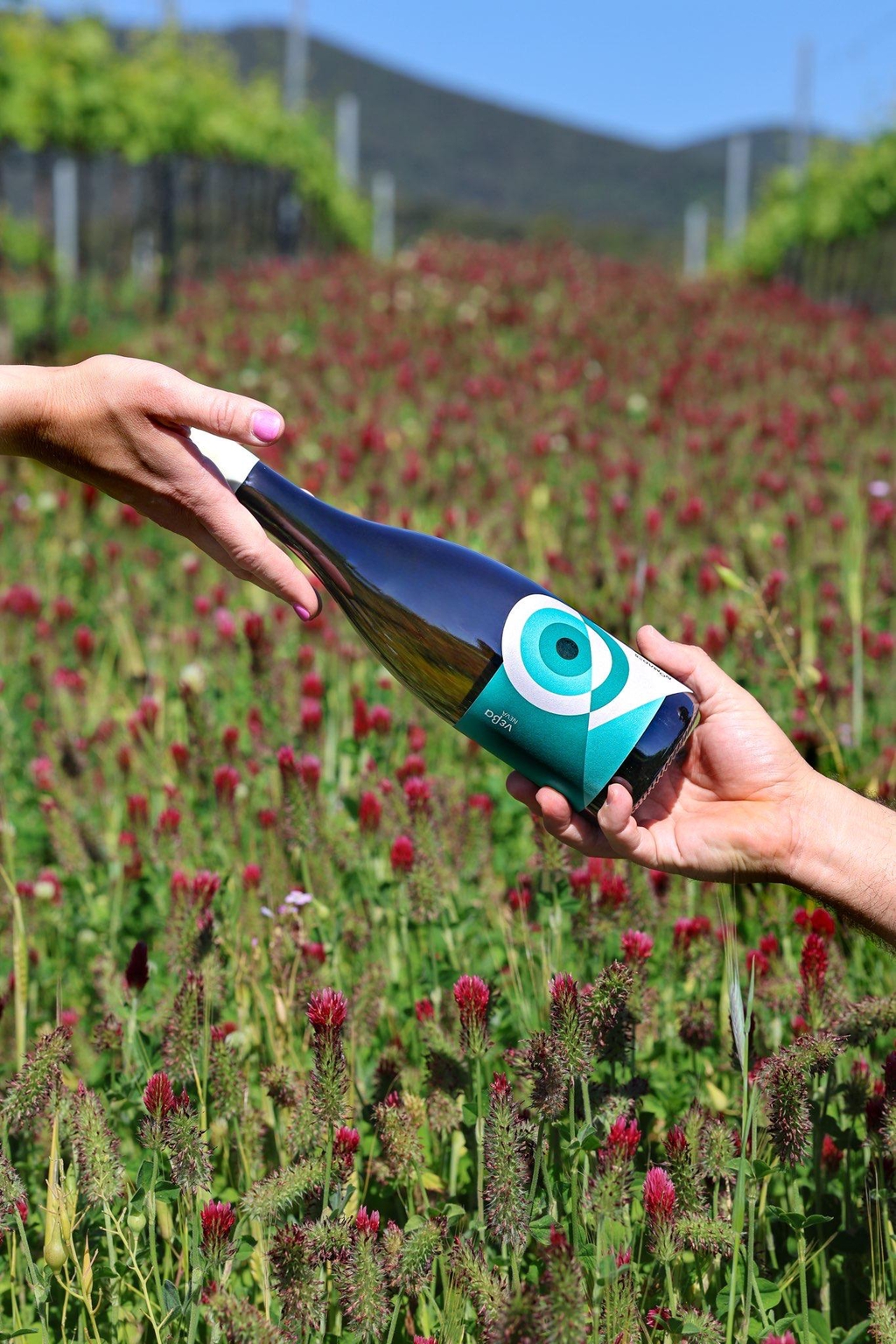 bottiglia nomades wines fotografata nella natura mediterranea