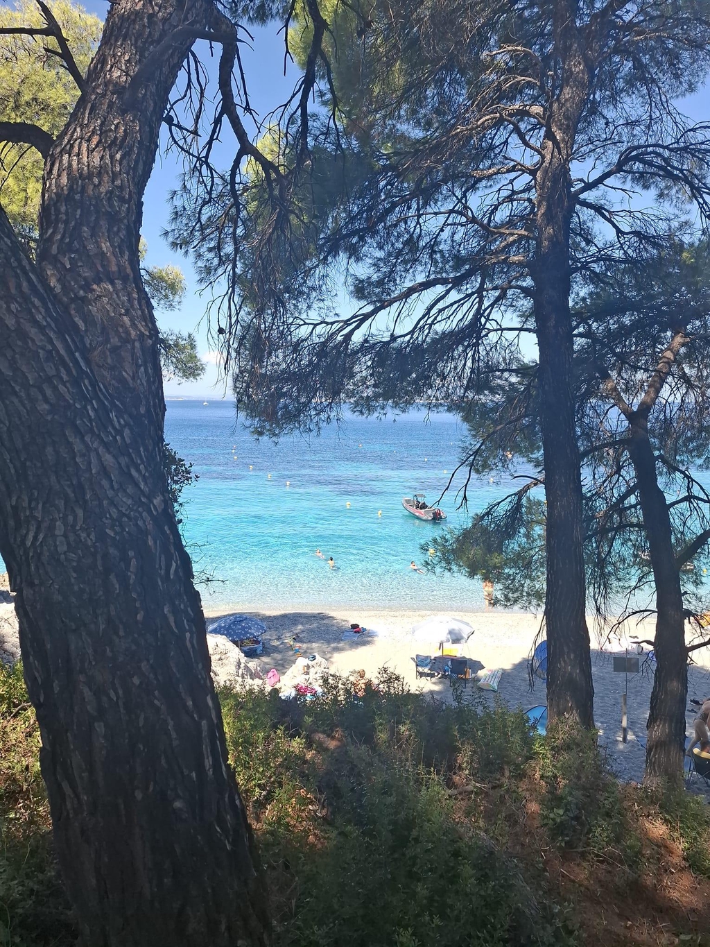 banner_image