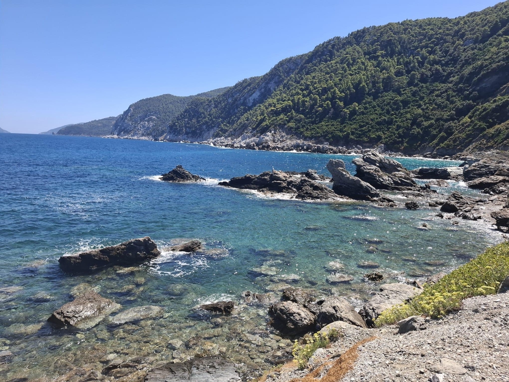 banner_image