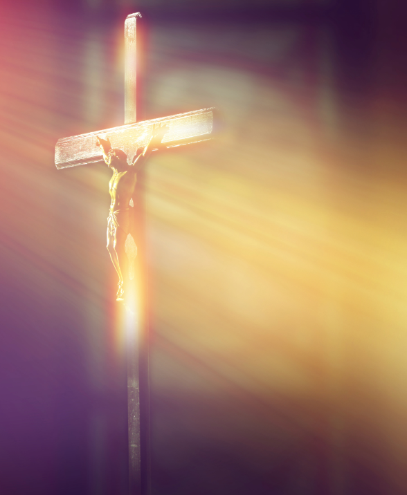 product_list_image_cover