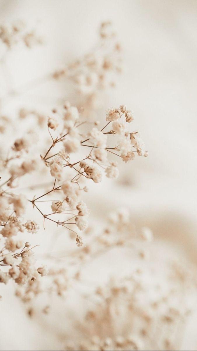banner_image
