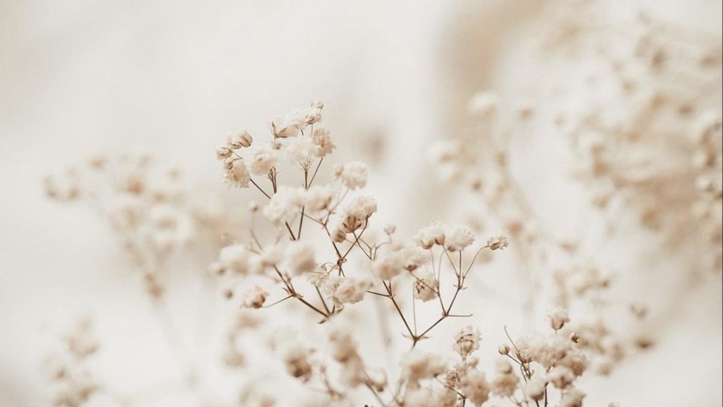 banner_image