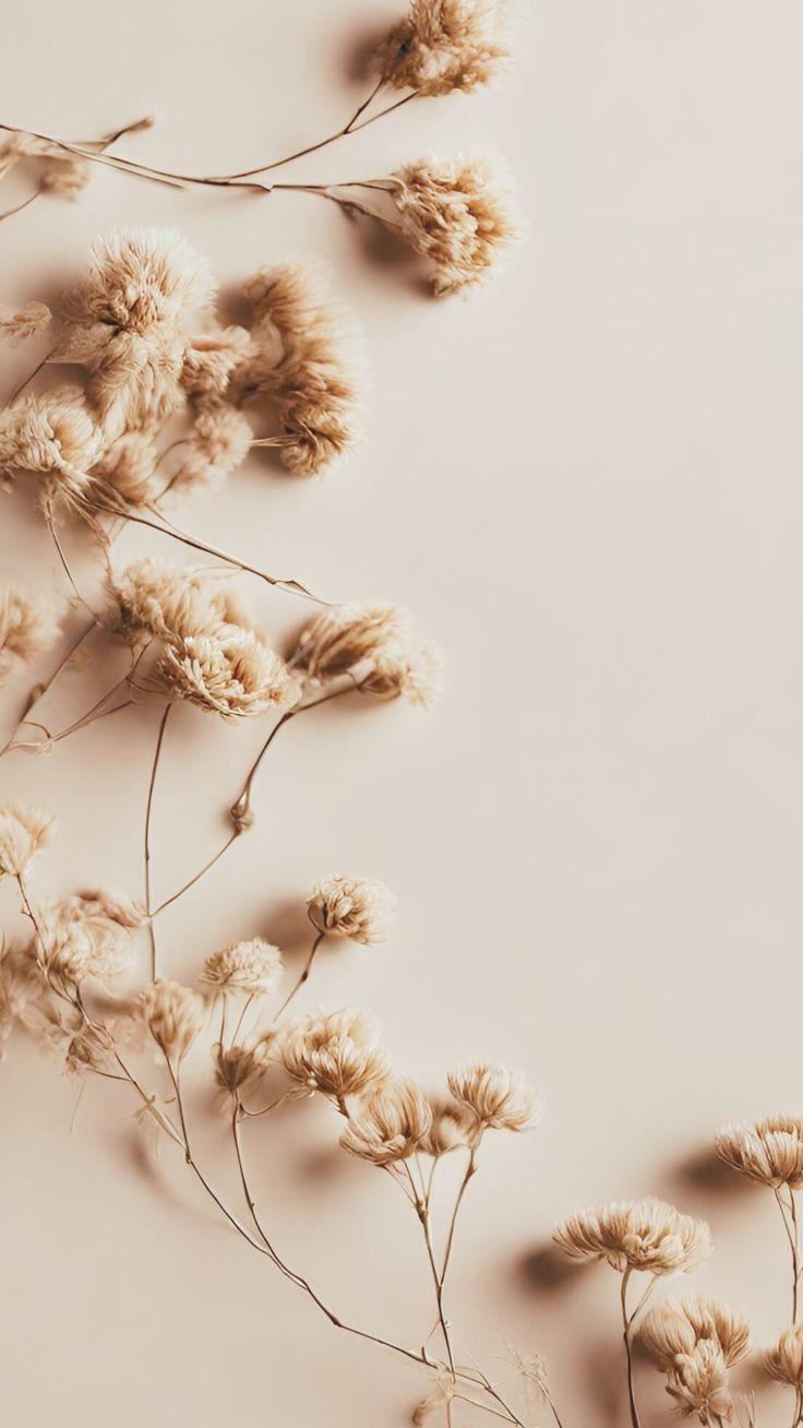banner_image
