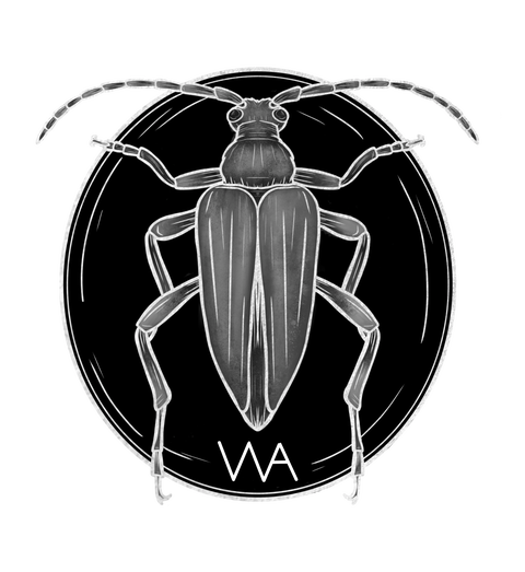 Marie-Ange 🦇 céramique witchy et horrifique