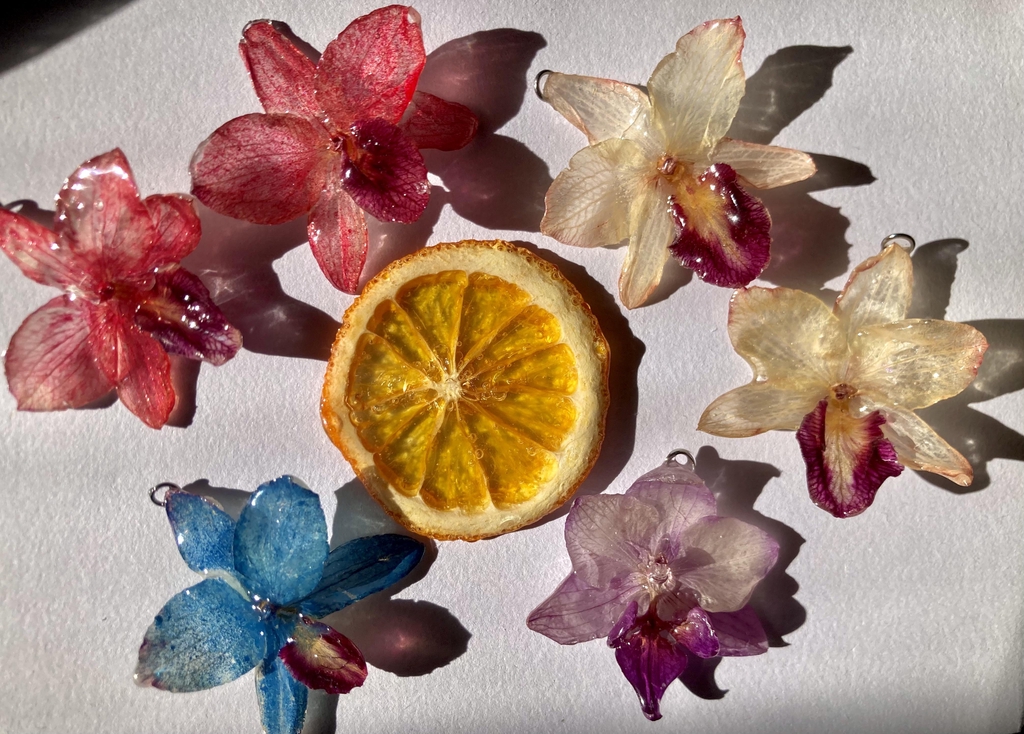 Orchid collection 