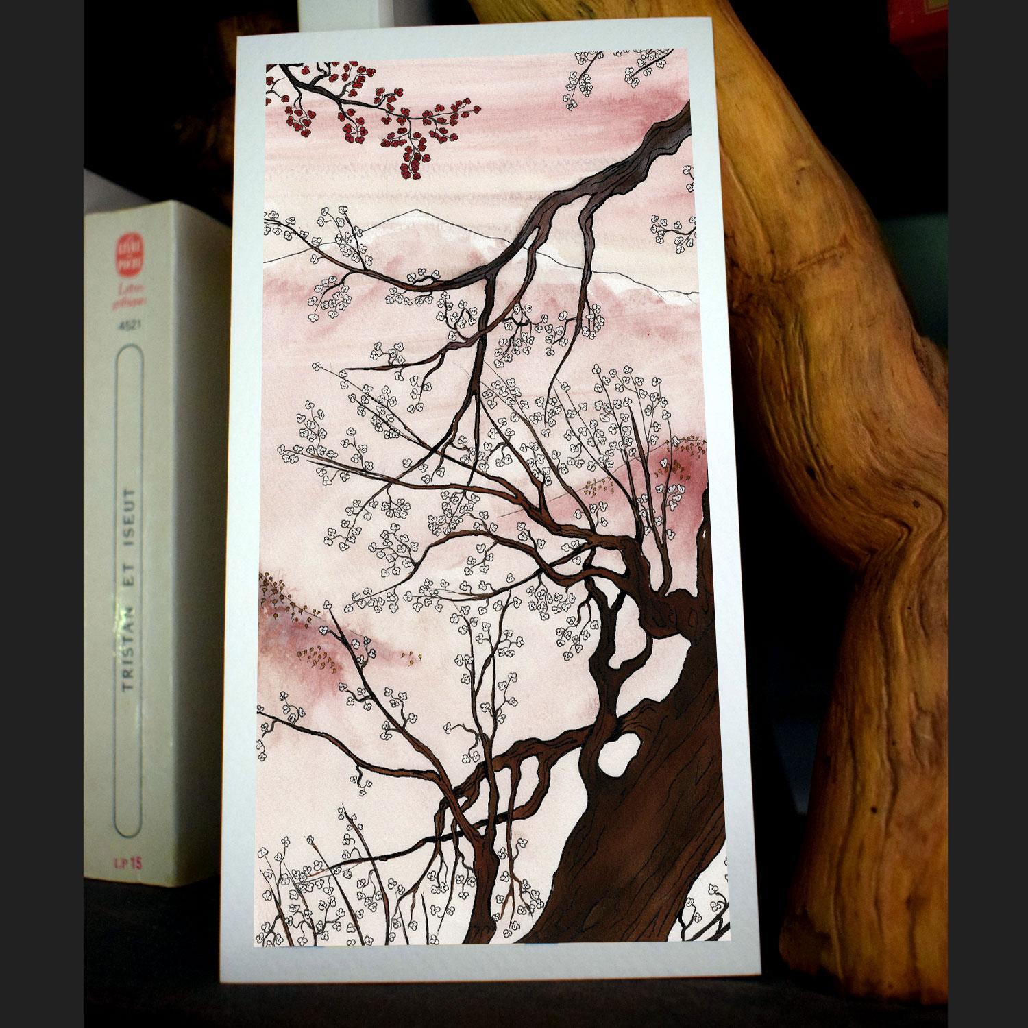 Cartes rectangles