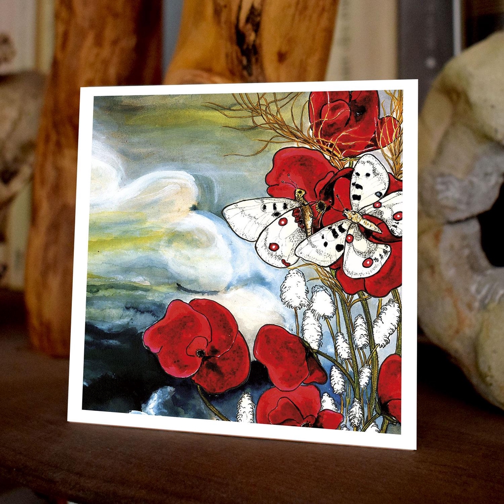 product_list_image_cover