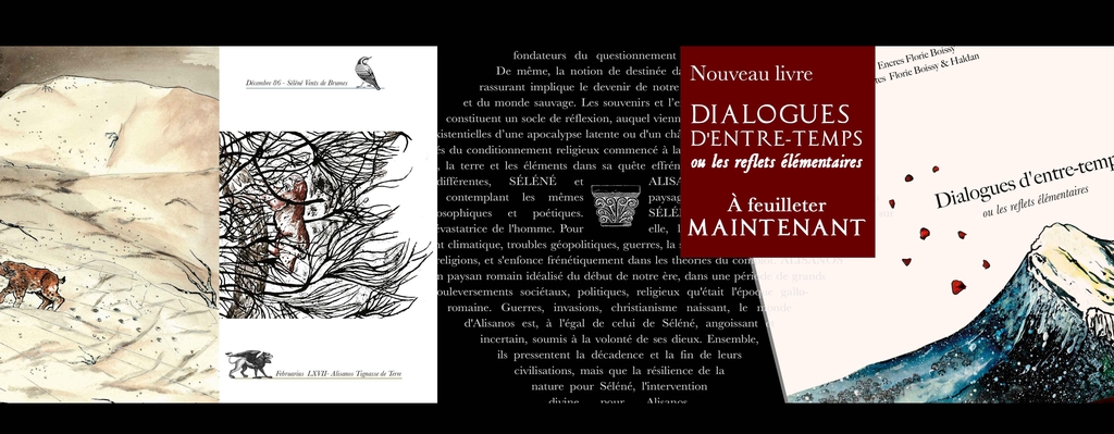 Haldan illustrations - Logo Reproduction d'illustrations  - Haldan illustrations - Boutique