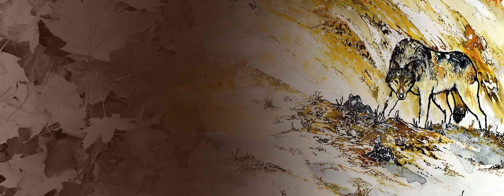 Promo d'automne -15%