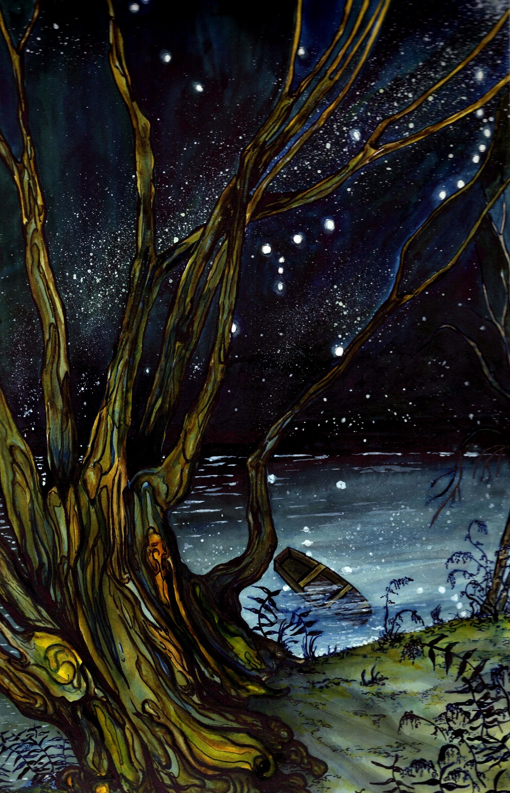 Catégorie couleur - Haldan illustrations - Boutique