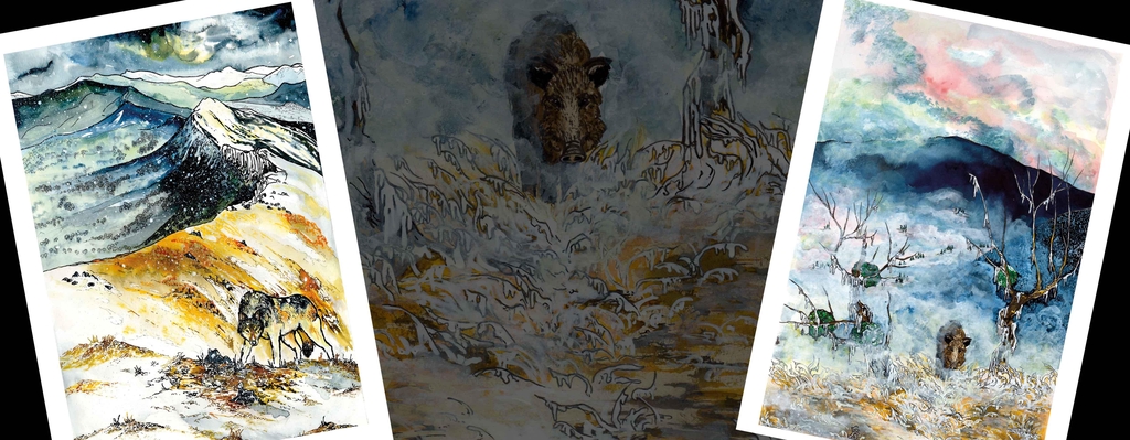 Reproduction d'illustrations  - Haldan illustrations - Boutique