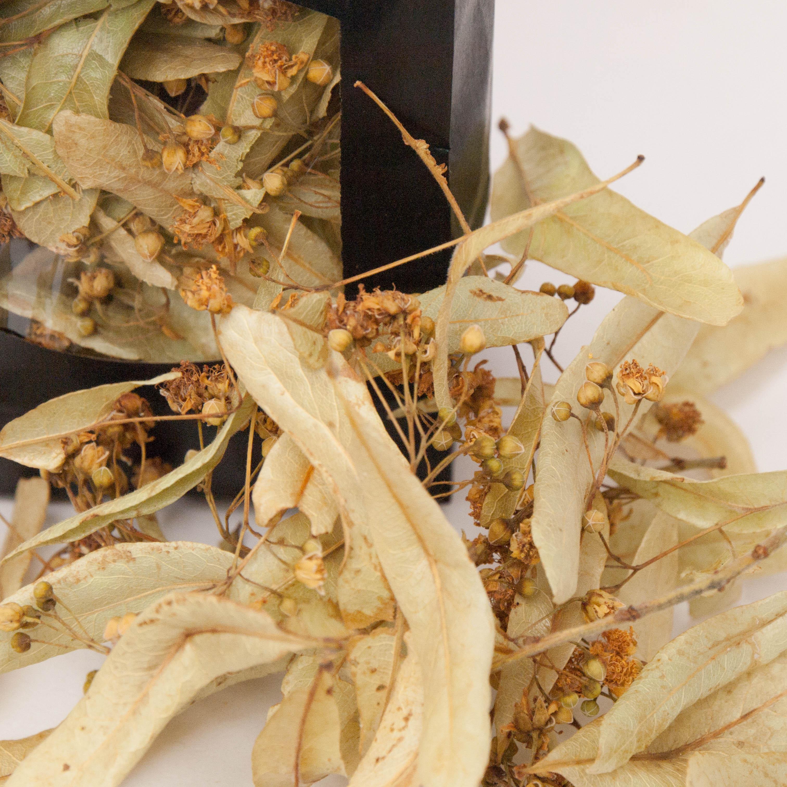Fleurs de Tilleul séchées à être consommées en infusion