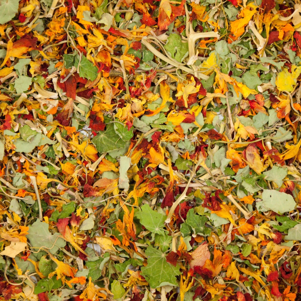 Capucine séchée (toutes parties aériennes) étalée à plat, prête à être consommée en infusion