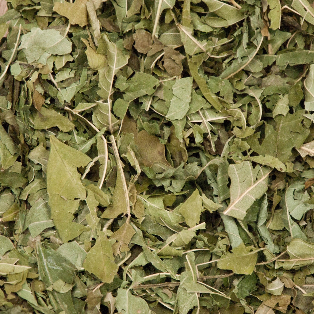 Feuilles de frêne séchées et prêtes à être consommées en infusion