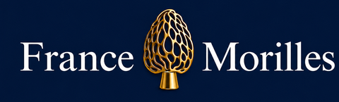 store_logo
