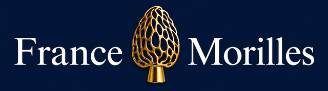 store_logo