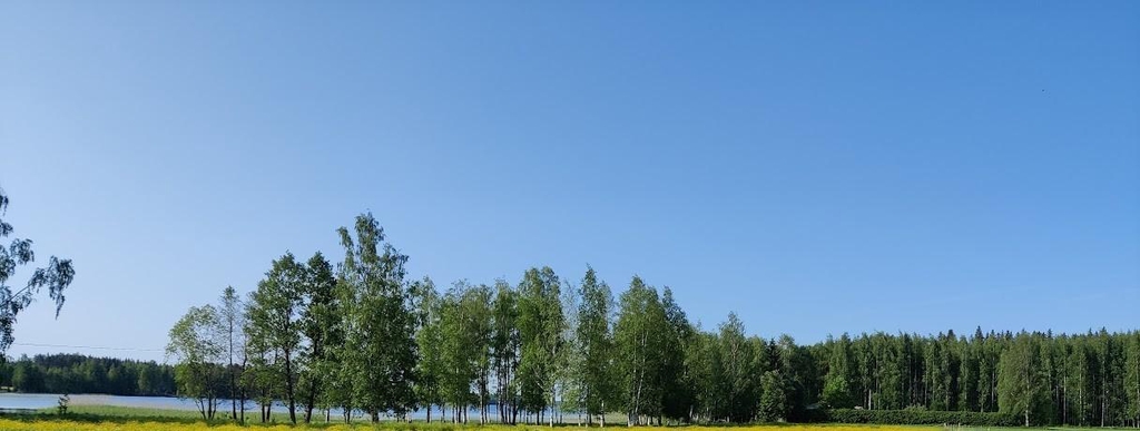 Maisema puista, järvestä ja sinisestä taivaasta Ansion tilalta.