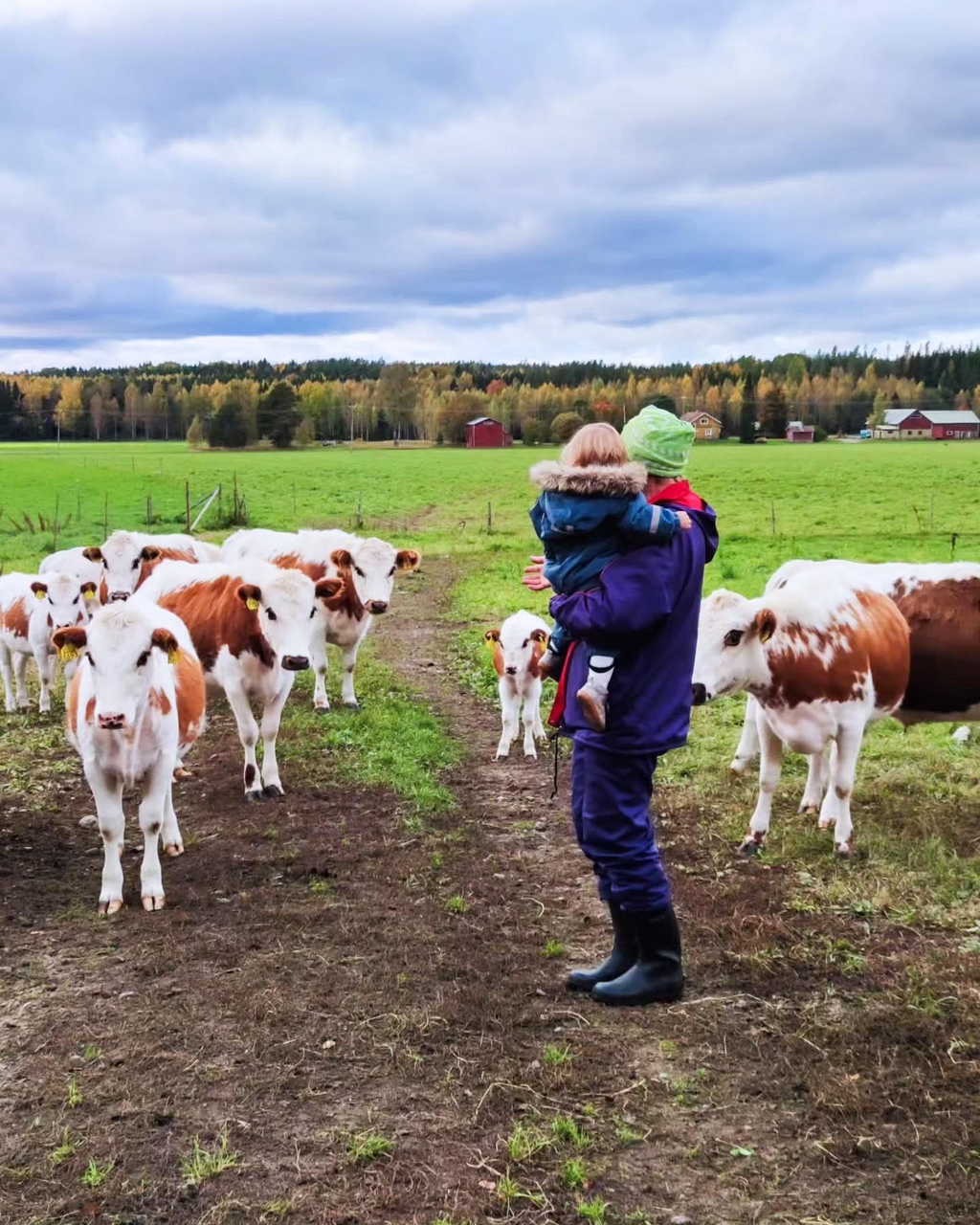 Naisella lapsi sylissä, taustalla lehmiä laitumella.