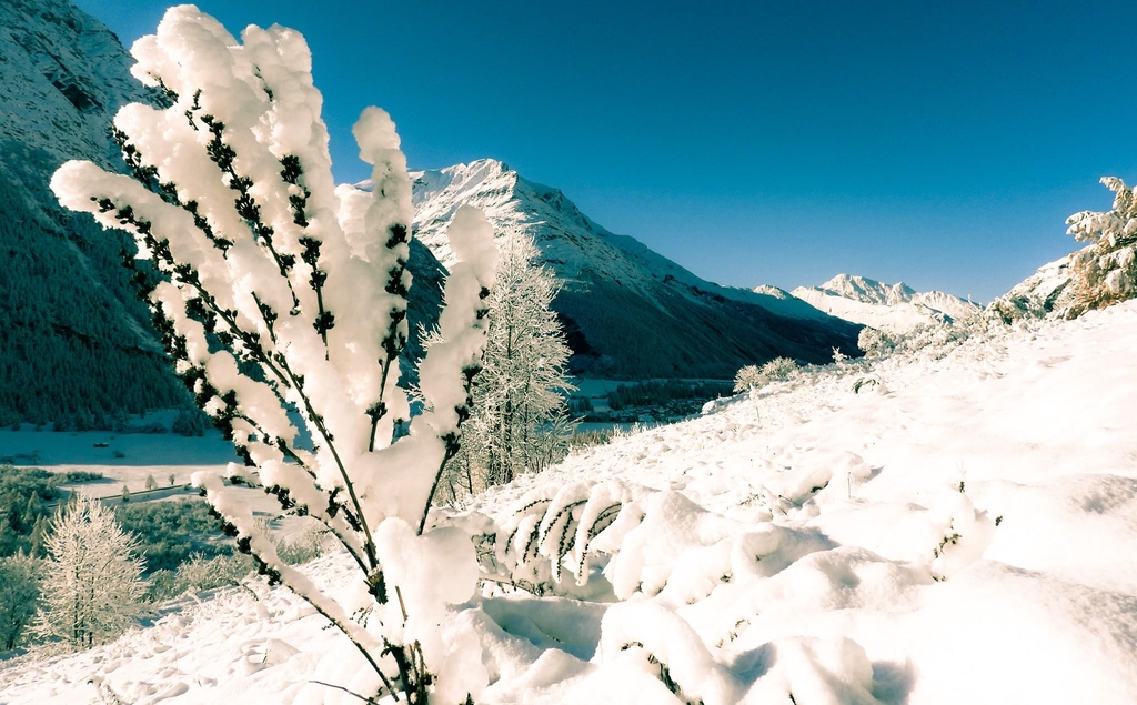 Coralie Kehr Je personnalise VOTRE ATELIER "Sophro Orientation Professionnelle" 
Présentiel Visio Entreprise, 
VIVRE UNE EXPERIENCE SOPHRO EST UNE VIVANCE TRANSFORMATRICE
QUI NOUS OUVRE UNE PORTE,A CHAQUE FOIS,
Je suis secrétaire et sophrologue après avoir été spa praticienne en massages pendant 3 ans , responsable d’une agence d’emploi pendant 10 ans, commerciale dans la formation pendant 2 ans, ... aussi assistante, vendeuse, caissière et téléprospectrice... la mission qui me tient à cœur est celle de l'orientation professionnelle et de l'emploi, Mon vécu, mon expérience et ma capacité de résilience sont mes outils pour aider toute personne désirant retrouver la confiance en soi et en ses talents, pour les exprimer dans sa vie personnelle et professionnelle. Que diriez-vous de vous pencher sur votre avenir professionnel avec un atelier ludique ! sophro + test orientation pro, + entretien jeu de rôle, Focus sur votre personnalité, vos capacités, vos talents, vos valeurs, votre situation, POUR VOTRE FUTUR PROFESSIONNEL