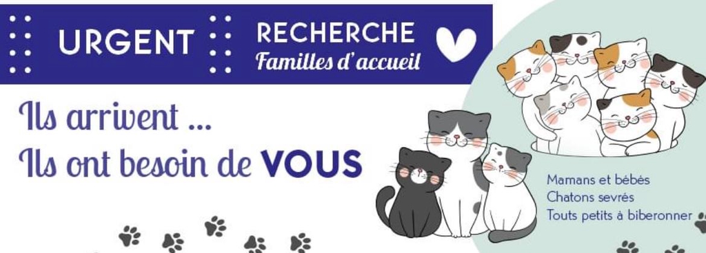 Faites vous plaisir pour la bonne cause 🩷