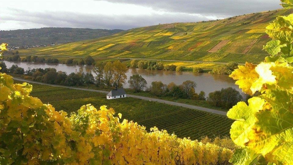 Hallo, ich bin Stefan Weise, euer Sommelier und Wein-Enthusiast.
Ich liebe es, die aufregende Welt des Weins zu erkunden und euch dabei zu helfen, die besten Tropfen zu entdecken. Ob ihr gerade erst anfangt, euch für Wein zu interessieren, oder schon ein bisschen Erfahrung habt – ich bin hier, um euch auf eine coole Weinreise mitzunehmen! 
Ich habe in vielen renommierten Restaurants gearbeitet und bin so oft wie möglich in Weinregionen unterwegs, wo ich die neuesten Trends und Geheimtipps aufspüre. 
Lasst uns gemeinsam die Welt des Weins erkunden und herausfinden, was euch begeistert. 
Cheers!

