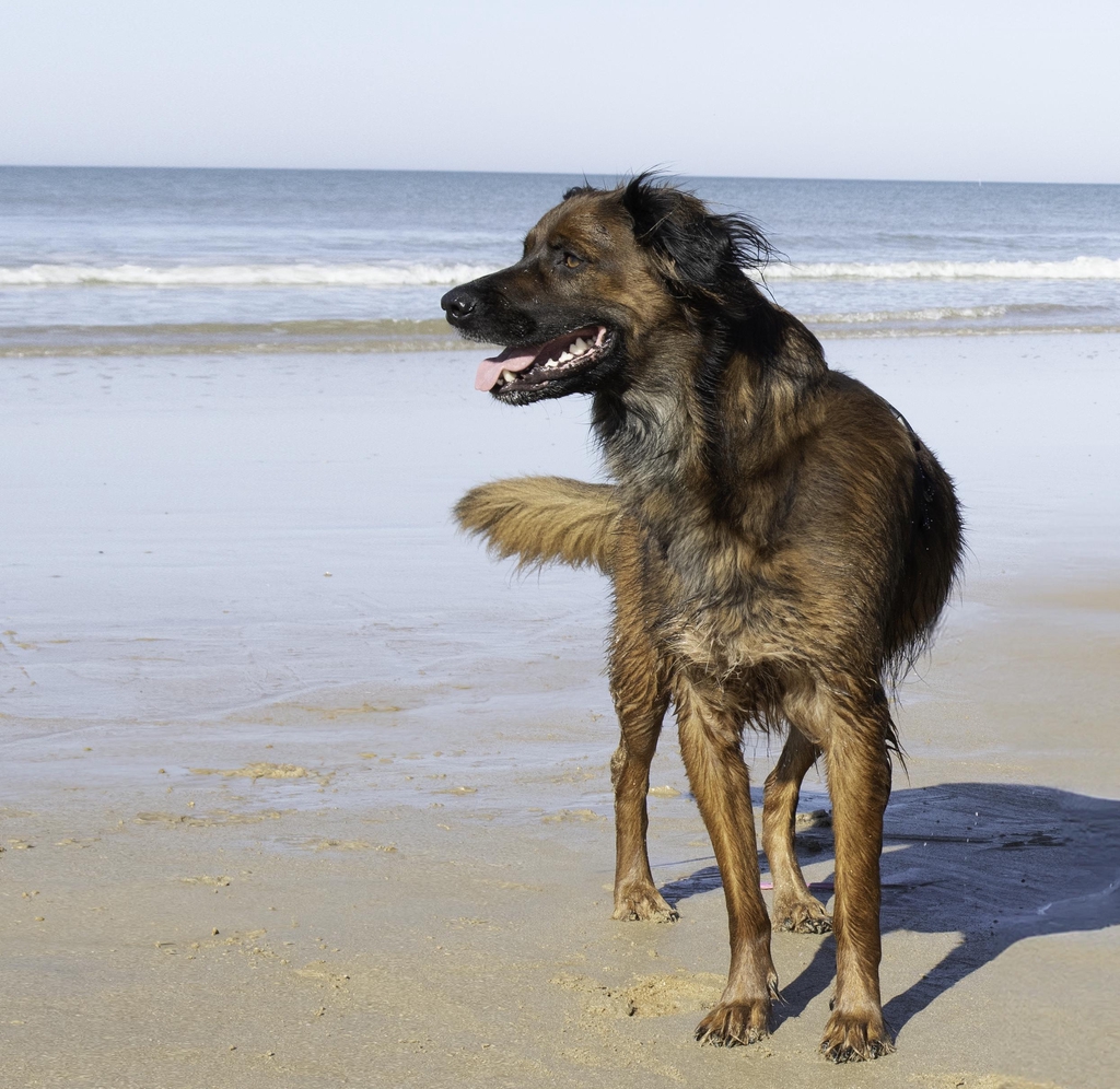 product_list_image_cover