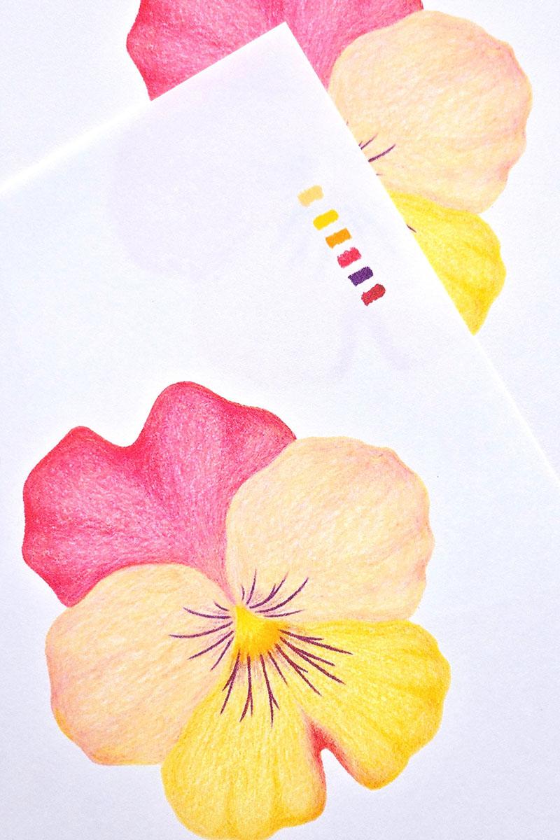 Illustrations