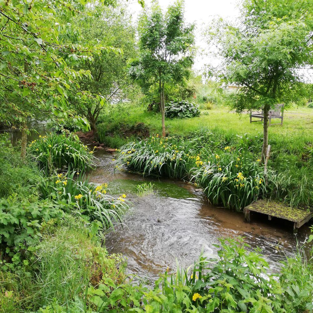 Jardin naturel et potager vu depuis les chambres d’hôtes dans un ancien moulin