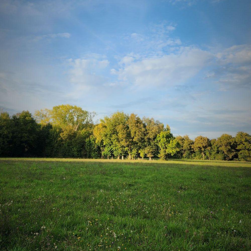 Chambres d’hôtes en pleine nature au bord du Couasnon dans un ancien moulin