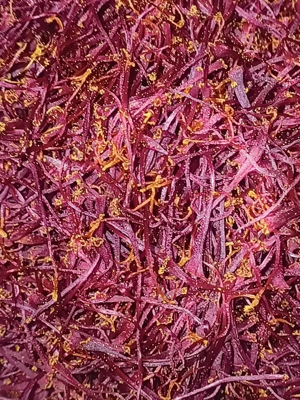 Garam Massala, Mélange d'épices torréfiées, d'Origine Indienne, Fait Maison