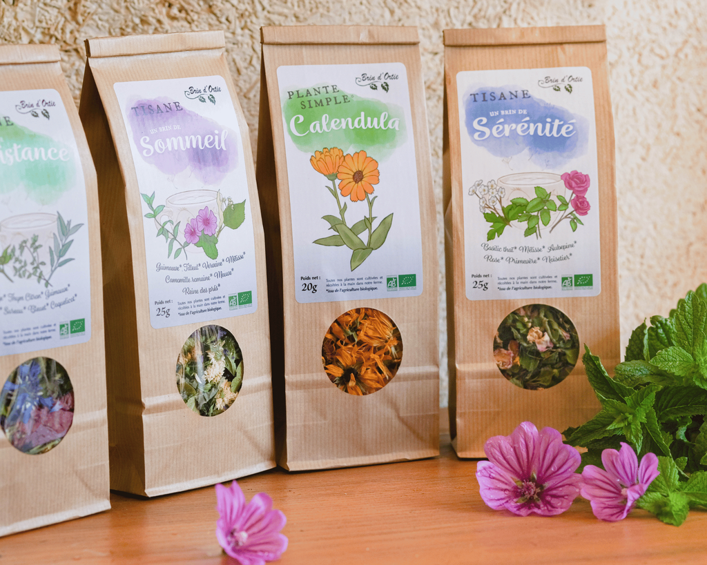 Brin d'Ortie c'est une ferme en agriculture bio de plantes aromatiques et médicinales en agriculture Biologique