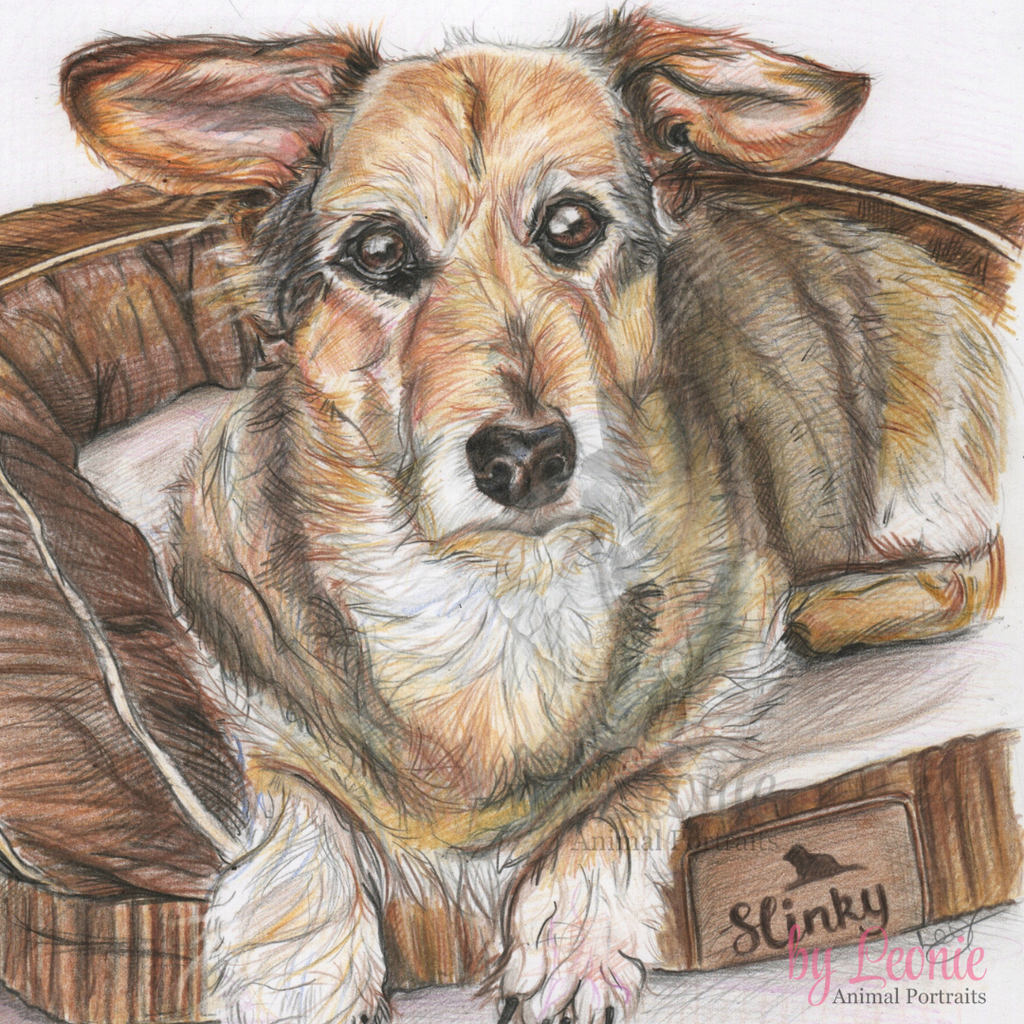Original pet portrait by artist Leonie Follsn
