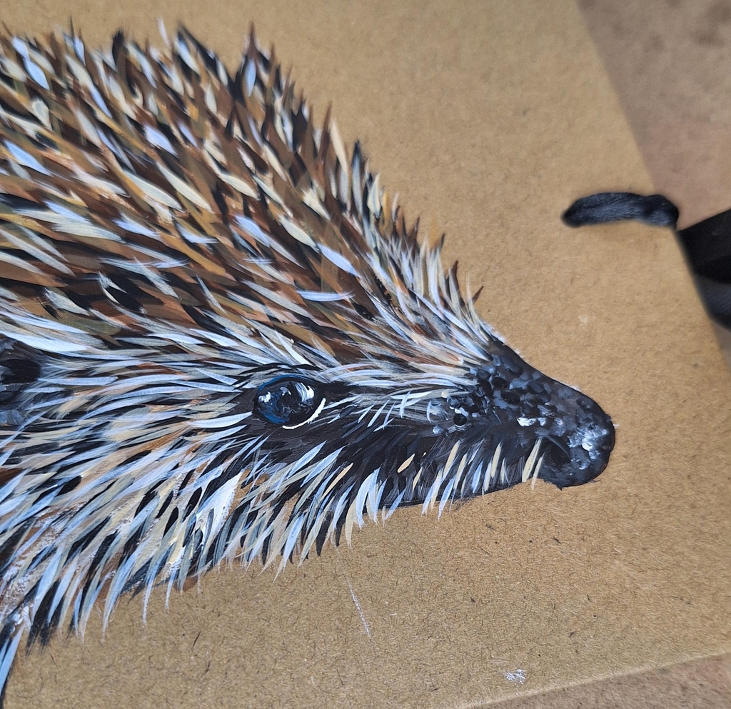 product_list_image_cover