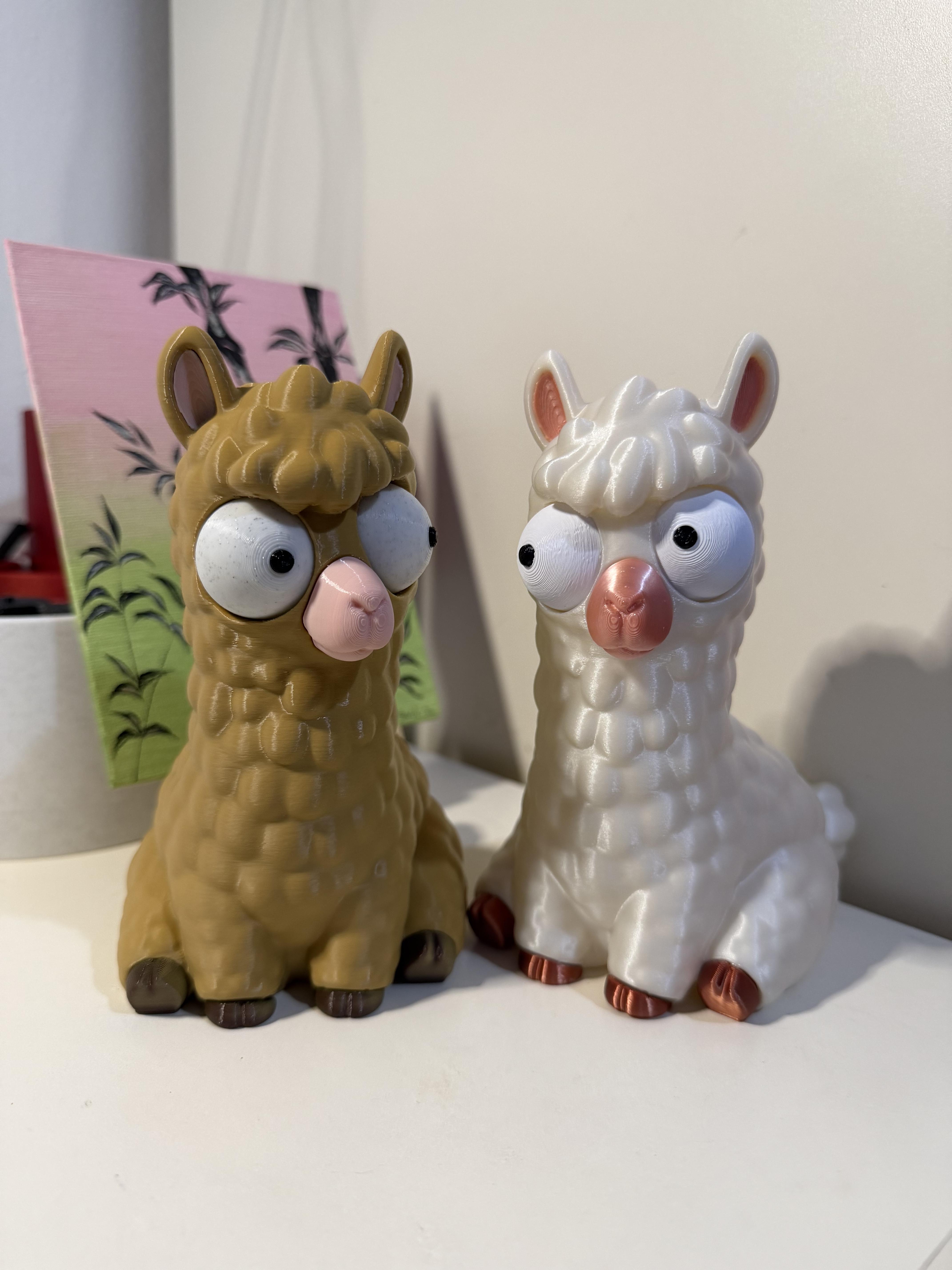 Strabù Zoo 🐾 animali dolcissimi e un po confusi