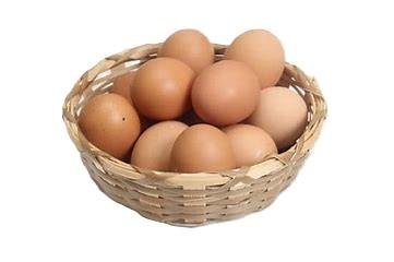 Oeufs EXTRA FRAIS Domestik Park 04700 La Brillanne