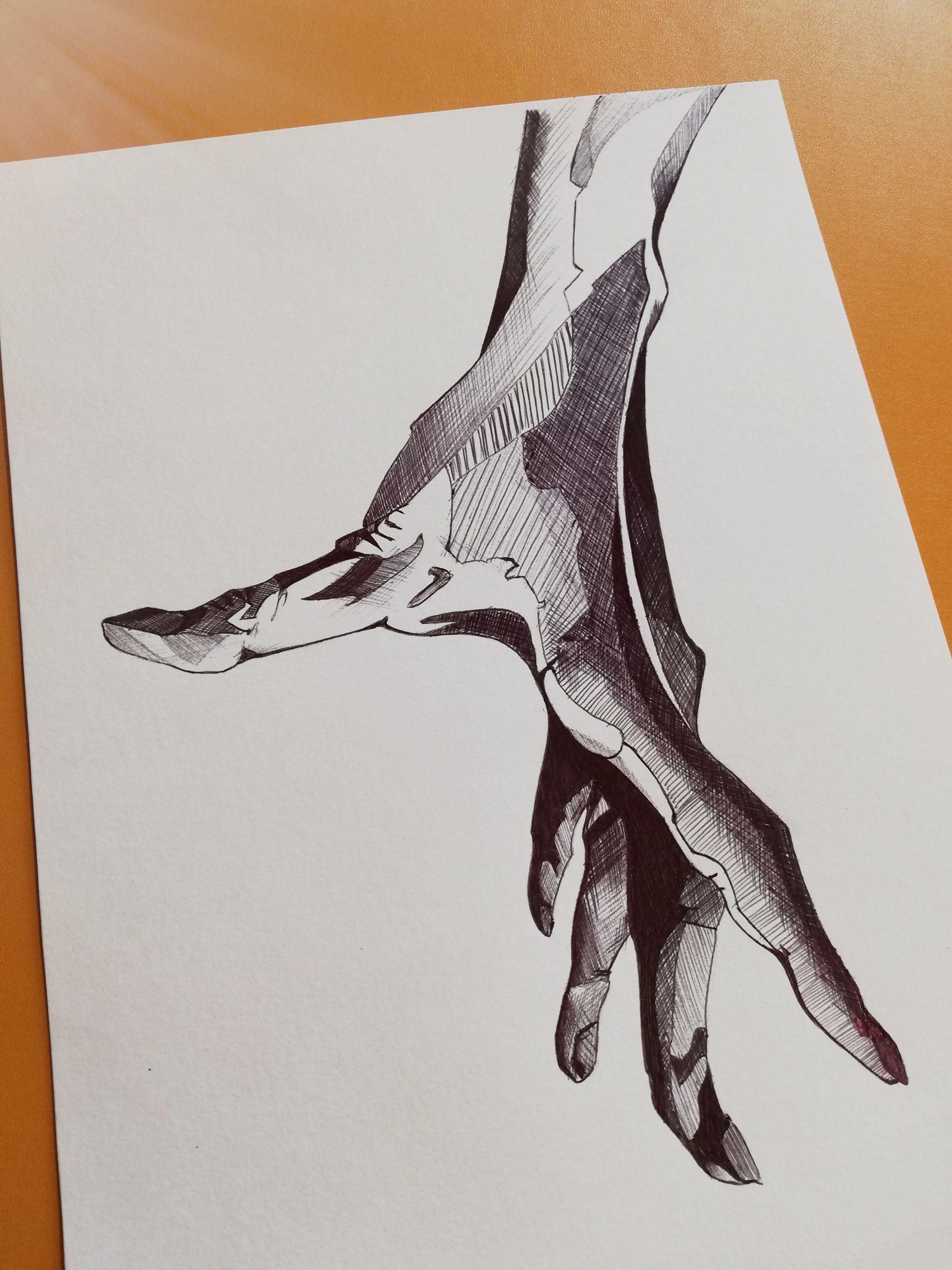 Dessins