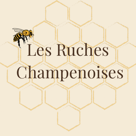 store_logo