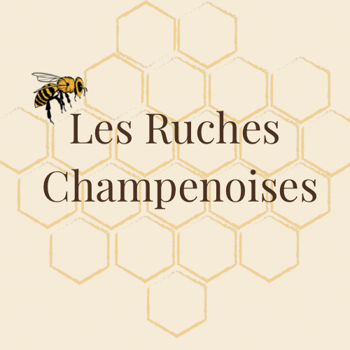 store_logo