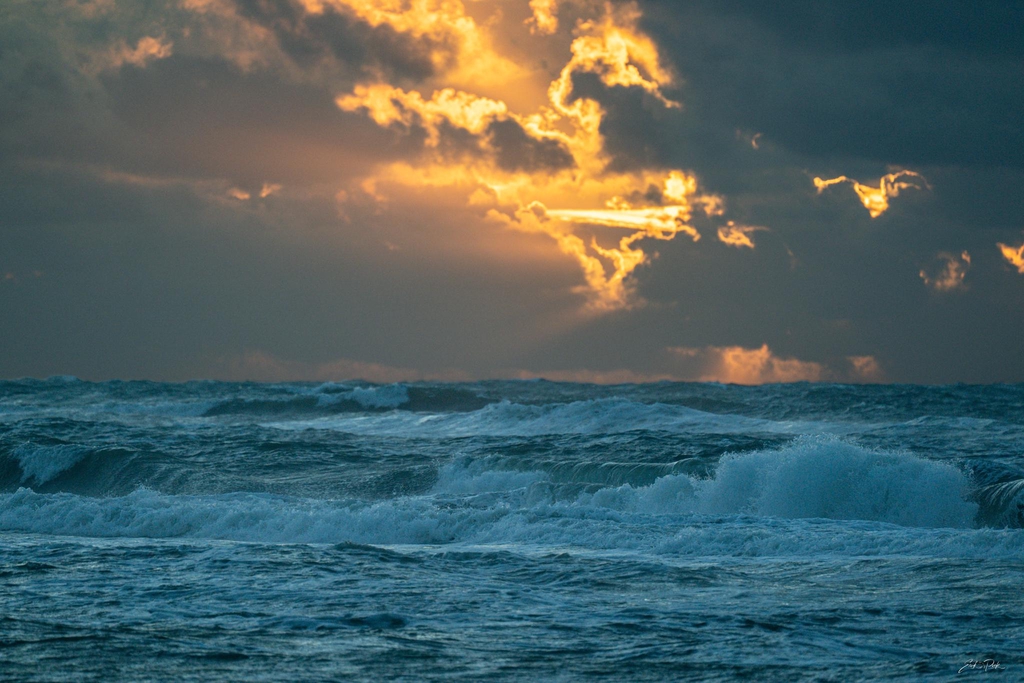 Van Beeld naar Woord
