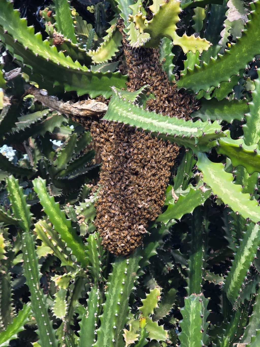 banner_image