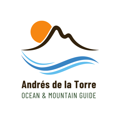 Logotipo Andrew in the Alps, the Swiss Alps Guide. UIMLA Mountain Leader member of Swiss Hiking Asotiation 