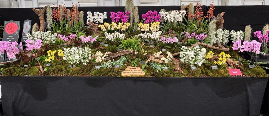 Come see us at one of our shows!