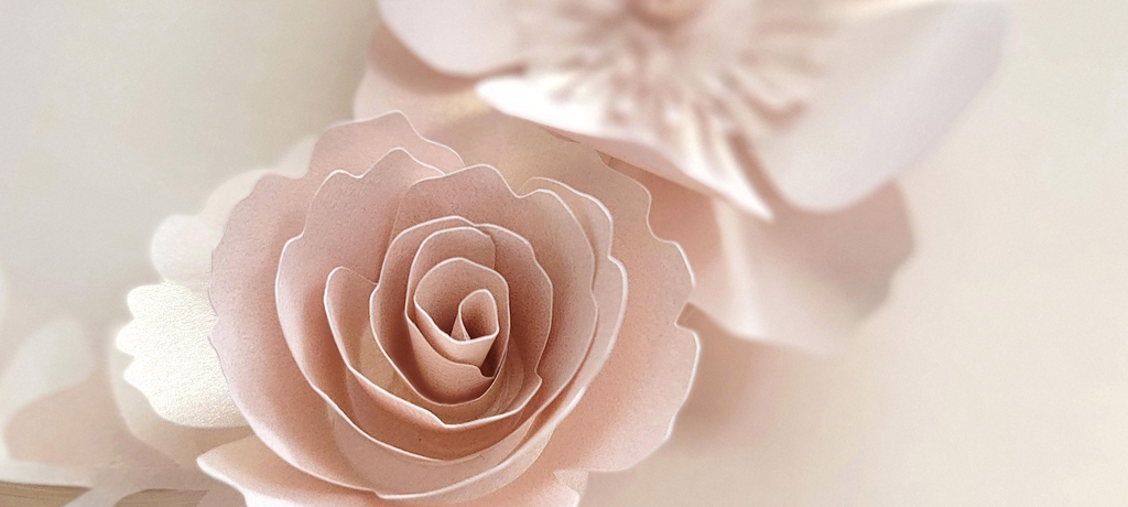 un cadre fleurs blanche sur fond bordeaux posé sur un mur rose avec quelques ombres vegetales