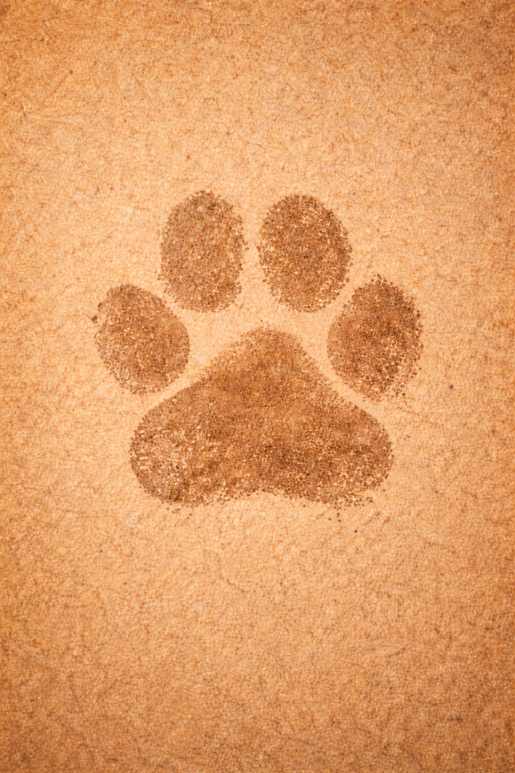 product_list_image_cover