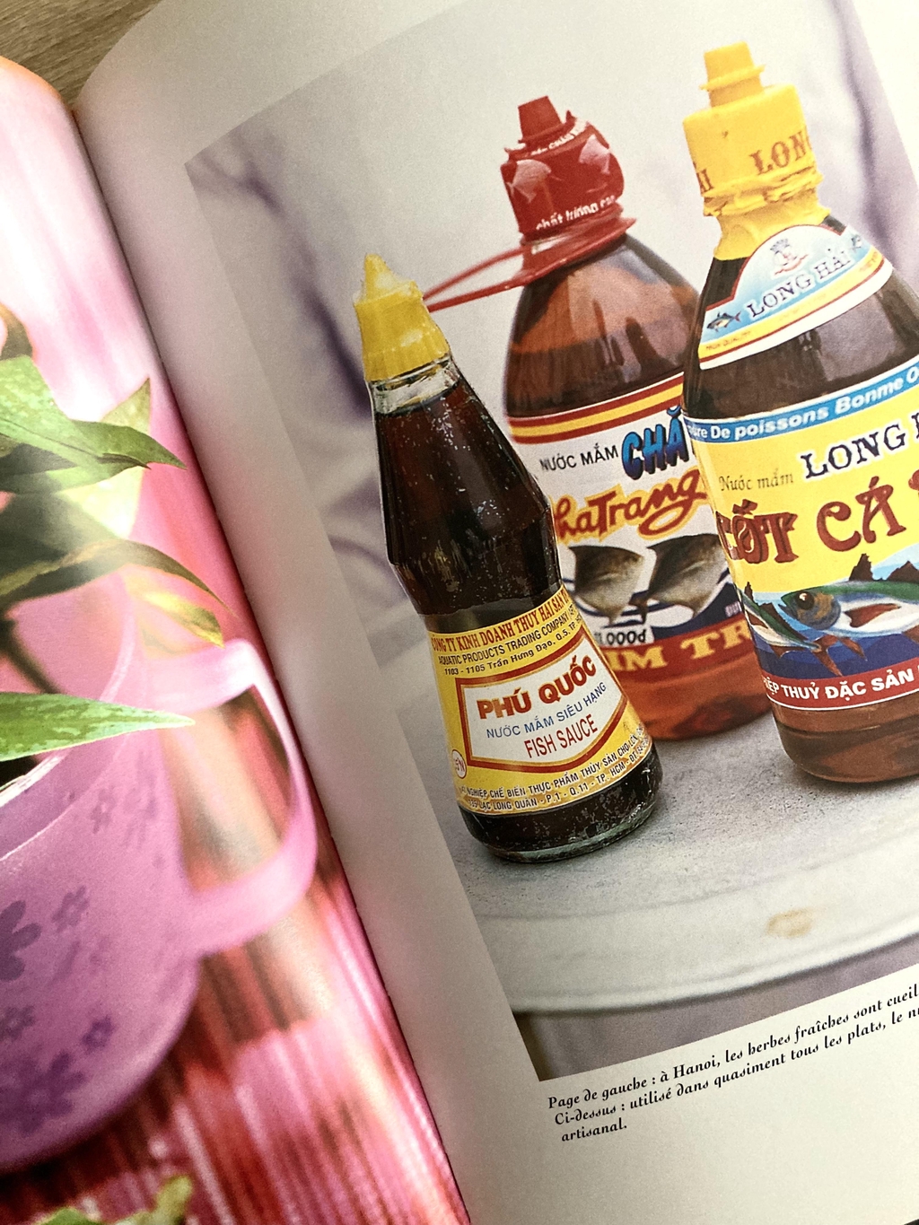 Atelier Chân Asie Vietnam recette cuisines inspiration dessin illustration art culinaire voyage culture tradition motifs couleurs 