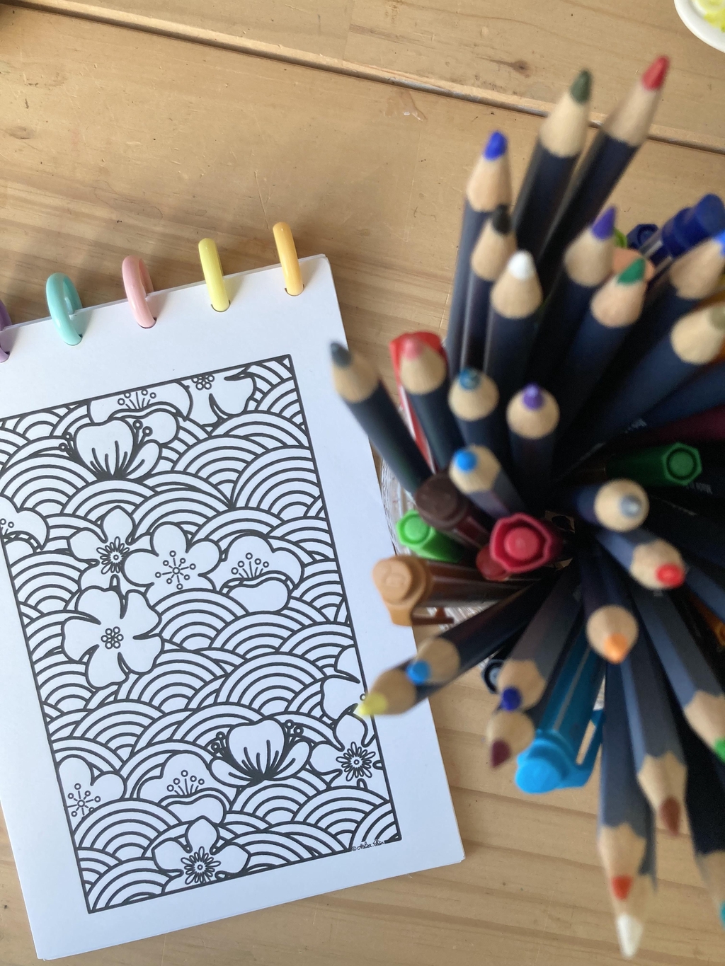 Coloriages dessinés par l’illustratrice Atelier Chân inspirés de l’Asie
