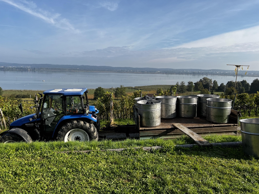 NACHTWÄCHTER WEIN ERMATINGEN 