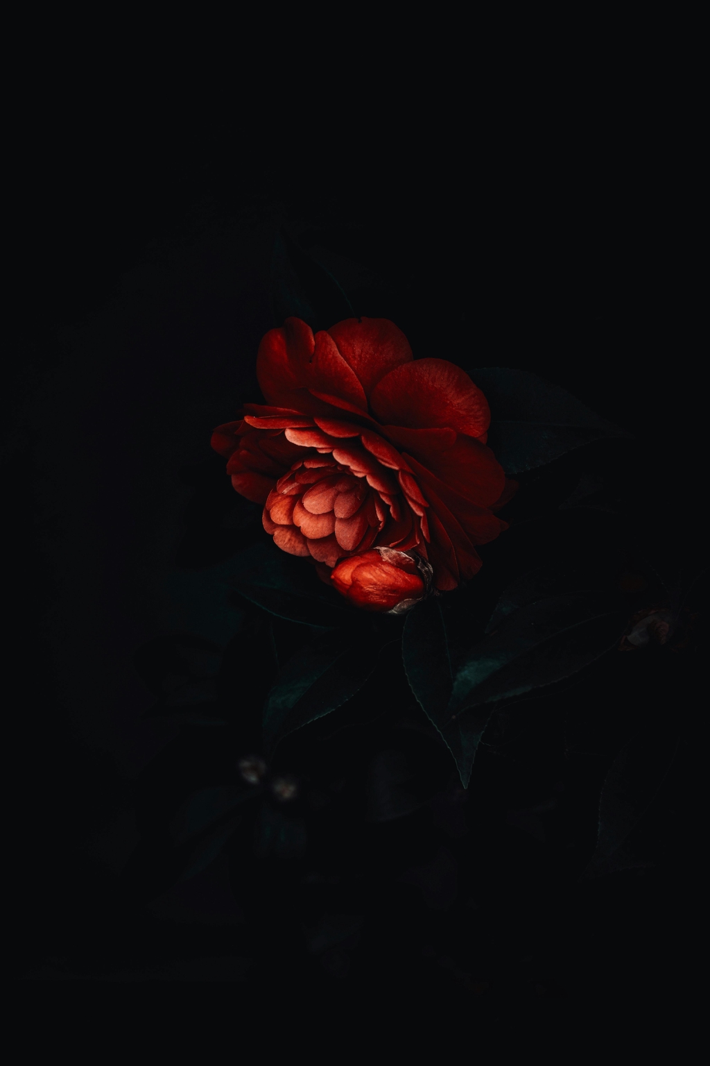 banner_image