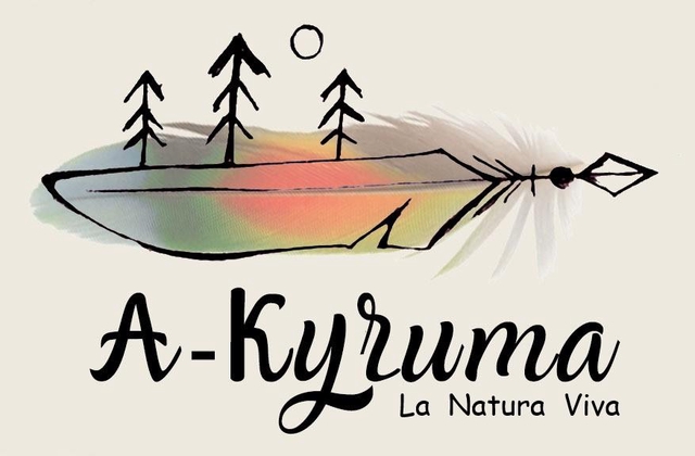 store_logo