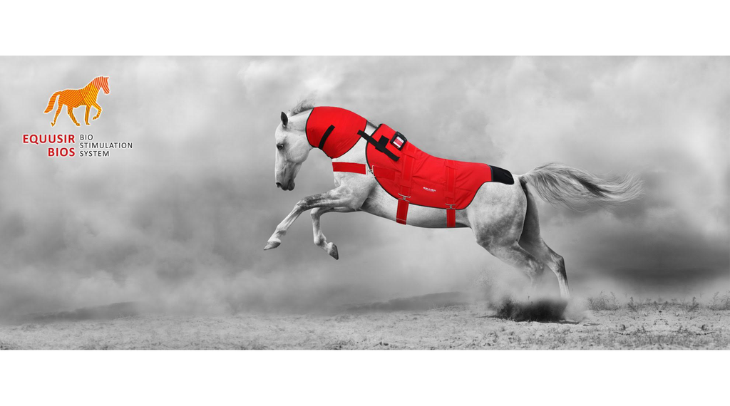 BIOS Bio-Stimulation